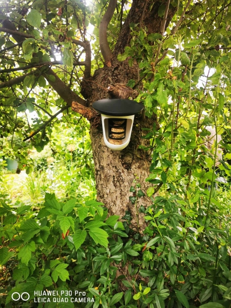 1Stk Hallo Multi FeedR - hat Platz für alle Arten von Vogelfutter, von Talgbällchen und Erdnüssen bis zu Pellets und Sonnenblumenkernen.